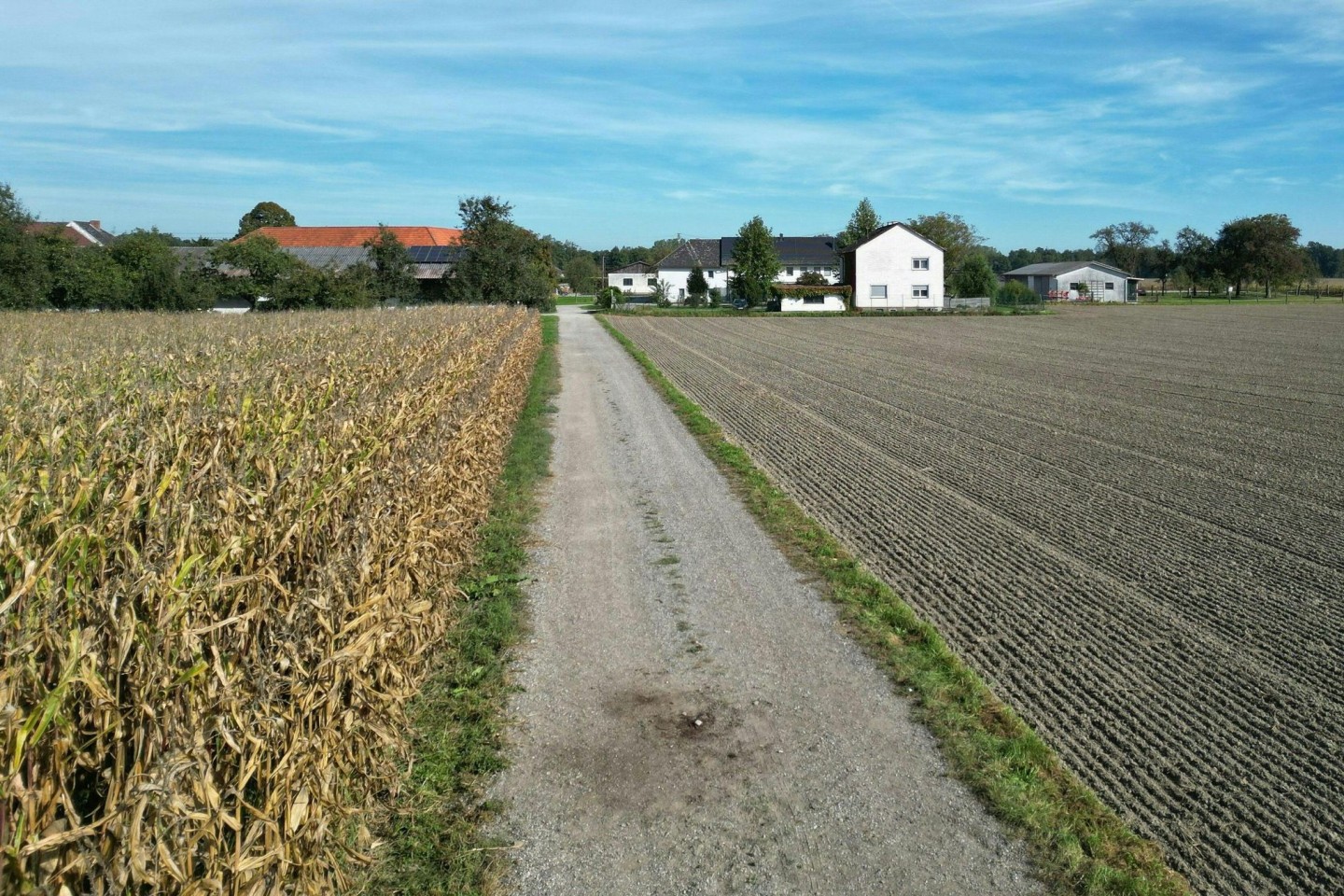 Ein Feldweg in Naarn.