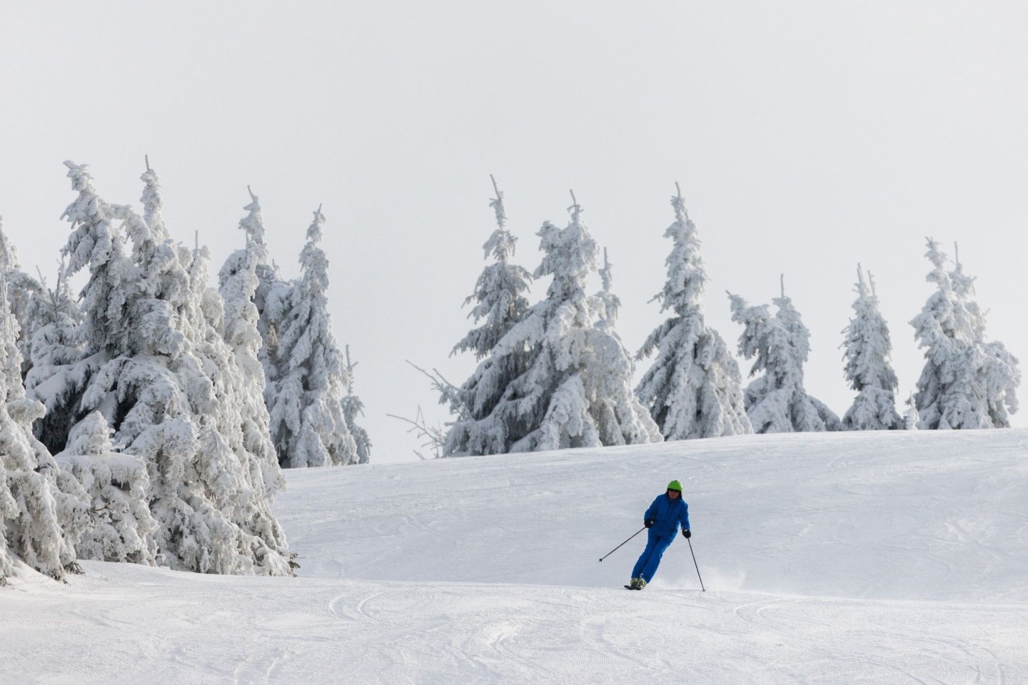 Ein Wintersportler fährt auf Skiern eine Piste hinunter.