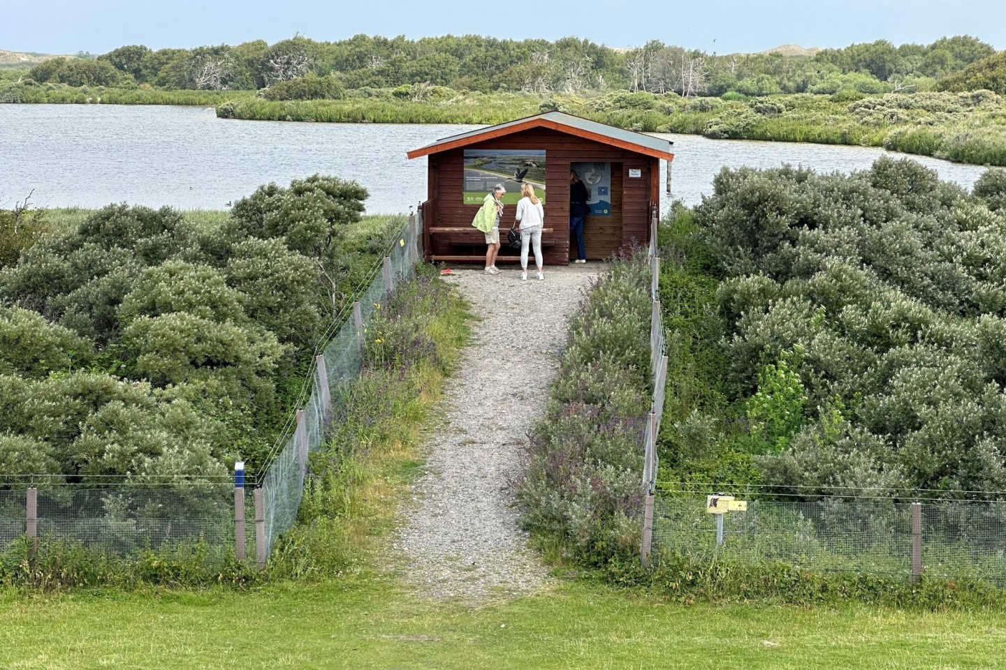 Im Vogelschutzgebiet Südstrandpolder auf Norderney hat eine Wildtierkamera einen Wolf fotografiert.